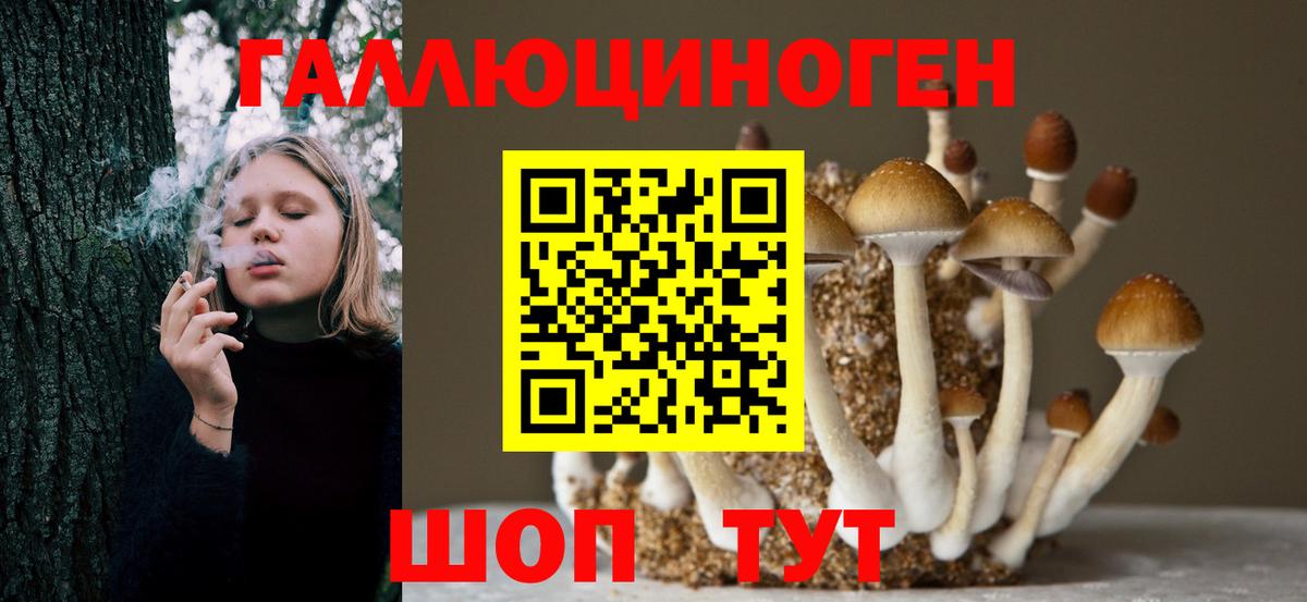 Асино  Псилоцибиновые грибы MAGIC MUSHROOMS  Вход с VPN 