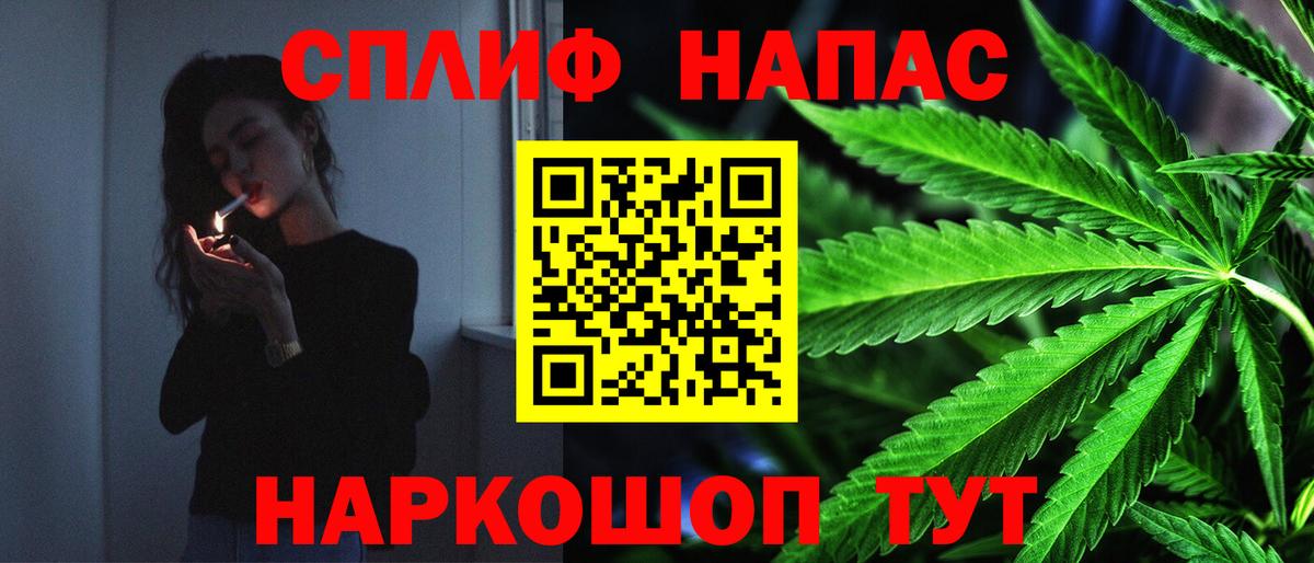 Канабис конопля Асино